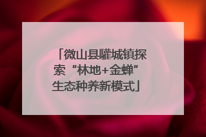 微山县驩城镇探索“林地+金蝉”生态种养新模式