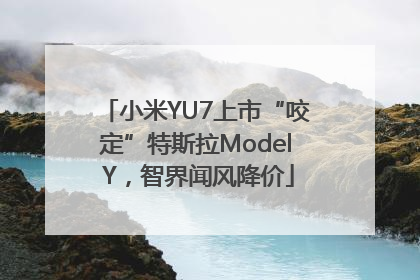 小米YU7上市“咬定”特斯拉Model Y，智界闻风降价