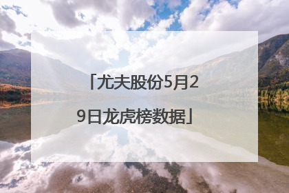 尤夫股份5月29日龙虎榜数据
