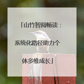 山竹智阅畅读：系统化路径助力个体多维成长