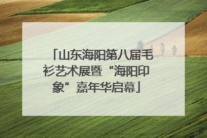 山东海阳第八届毛衫艺术展暨“海阳印象”嘉年华启幕