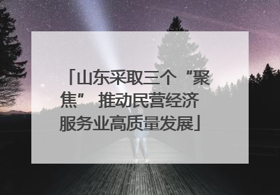 山东采取三个“聚焦” 推动民营经济服务业高质量发展