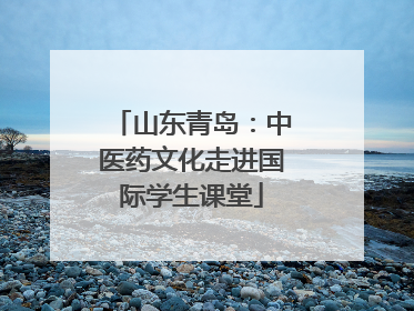 山东青岛：中医药文化走进国际学生课堂