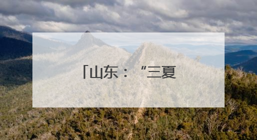 山东：“三夏”大忙进行时