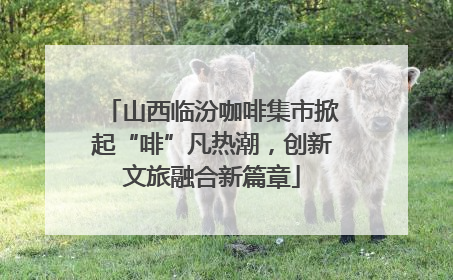 山西临汾咖啡集市掀起“啡”凡热潮，创新文旅融合新篇章