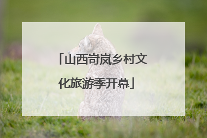 山西岢岚乡村文化旅游季开幕