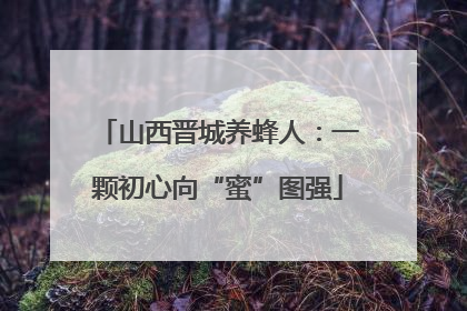 山西晋城养蜂人：一颗初心向“蜜”图强