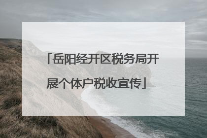 岳阳经开区税务局开展个体户税收宣传