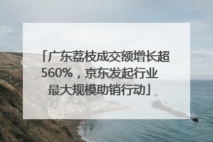 广东荔枝成交额增长超560%，京东发起行业最大规模助销行动
