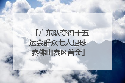 广东队夺得十五运会群众七人足球赛佛山赛区首金