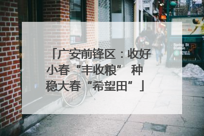广安前锋区：收好小春“丰收粮” 种稳大春“希望田”