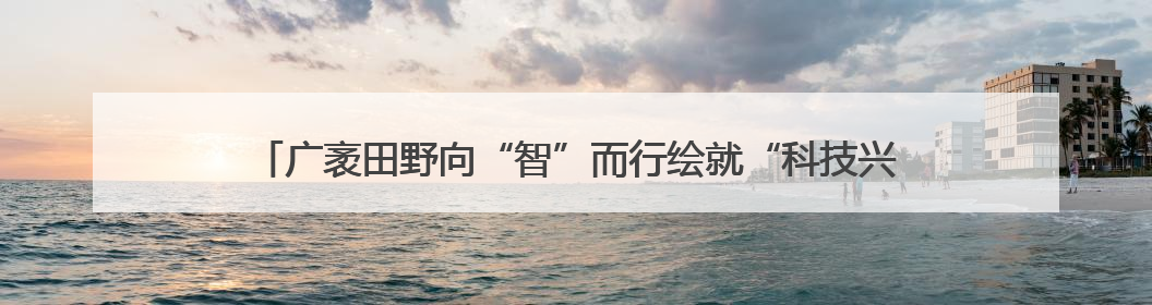 广袤田野向“智”而行绘就“科技兴农”新图景 好“丰”光传递新希望