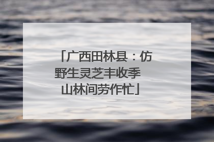 广西田林县：仿野生灵芝丰收季 山林间劳作忙