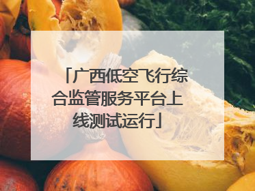 广西低空飞行综合监管服务平台上线测试运行