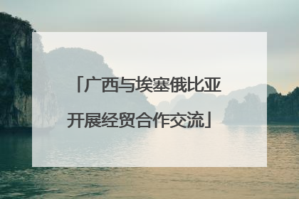 广西与埃塞俄比亚开展经贸合作交流