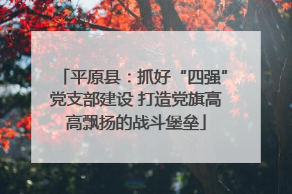 平原县：抓好“四强”党支部建设 打造党旗高高飘扬的战斗堡垒