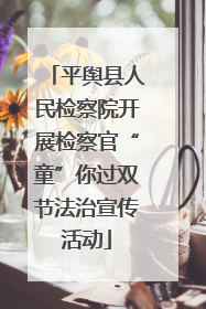 平舆县人民检察院开展检察官“童”你过双节法治宣传活动
