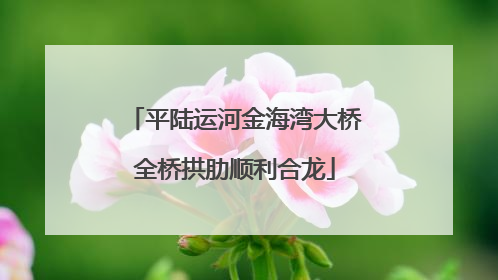 平陆运河金海湾大桥全桥拱肋顺利合龙