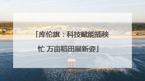 库伦旗：科技赋能插秧忙 万亩稻田展新姿