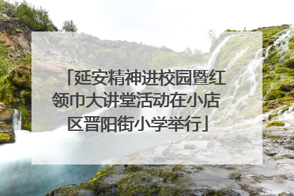 延安精神进校园暨红领巾大讲堂活动在小店区晋阳街小学举行