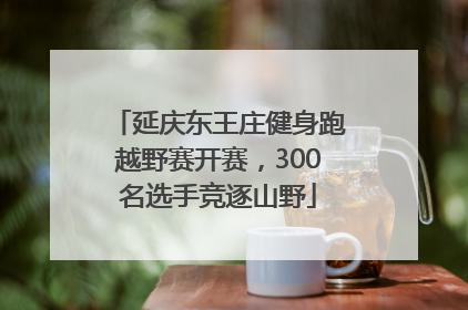 延庆东王庄健身跑越野赛开赛，300名选手竞逐山野
