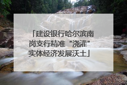 建设银行哈尔滨南岗支行精准“浇灌”实体经济发展沃土