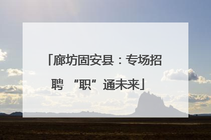 廊坊固安县：专场招聘 “职”通未来