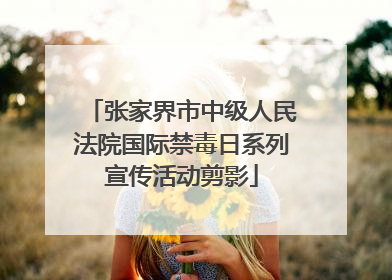 张家界市中级人民法院国际禁毒日系列宣传活动剪影