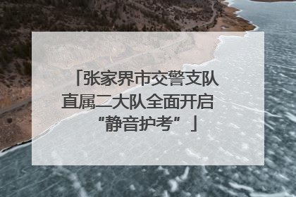 张家界市交警支队直属二大队全面开启“静音护考”