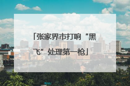 张家界市打响“黑飞”处理第一枪