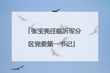 张宝亮任临沂军分区党委第一书记