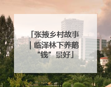 张掖乡村故事｜临泽林下养鹅“钱”景好
