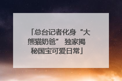 总台记者化身“大熊猫奶爸” 独家揭秘国宝可爱日常