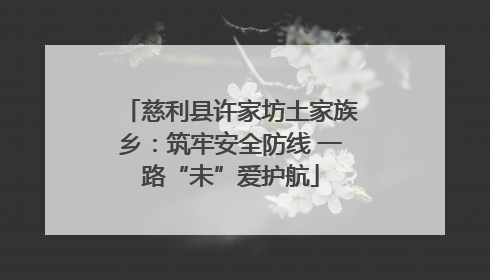 慈利县许家坊土家族乡：筑牢安全防线 一路“未”爱护航