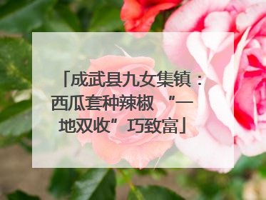 成武县九女集镇：西瓜套种辣椒 “一地双收”巧致富
