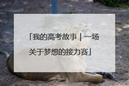 我的高考故事｜一场关于梦想的接力赛