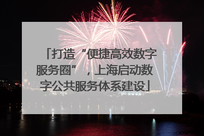 打造“便捷高效数字服务圈”，上海启动数字公共服务体系建设