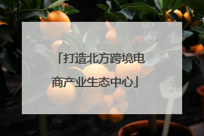 打造北方跨境电商产业生态中心