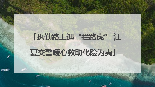 执勤路上遇“拦路虎” 江夏交警暖心救助化险为夷