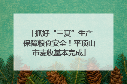 抓好“三夏”生产 保障粮食安全！平顶山市麦收基本完成