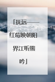 抚远——红莓映朝阳 界江听熊吟