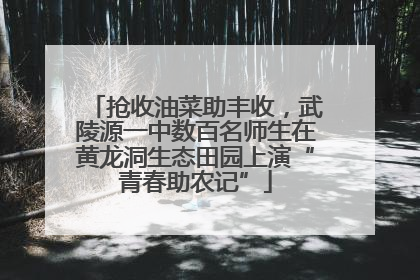 抢收油菜助丰收，武陵源一中数百名师生在黄龙洞生态田园上演“青春助农记”