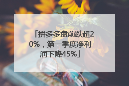 拼多多盘前跌超20%，第一季度净利润下降45%