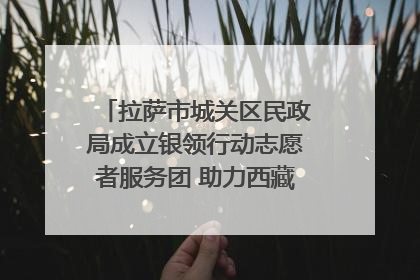 拉萨市城关区民政局成立银领行动志愿者服务团 助力西藏银发经济发展