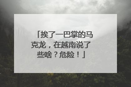挨了一巴掌的马克龙，在越南说了些啥？危险！