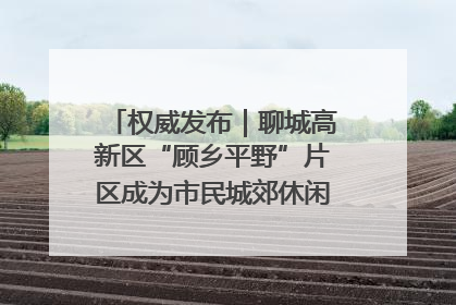 权威发布｜聊城高新区“顾乡平野”片区成为市民城郊休闲全新目的地