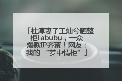 杜淳妻子王灿兮晒整柜Labubu，一众爆款IP齐聚！网友：我的 “梦中情柜”