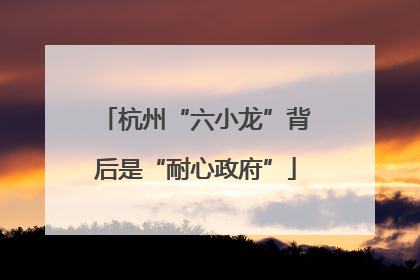 杭州“六小龙”背后是“耐心政府”