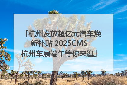 杭州发放超亿元汽车焕新补贴 2025CMS杭州车展端午等你来逛