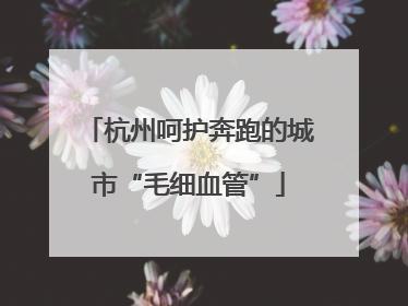 杭州呵护奔跑的城市“毛细血管”